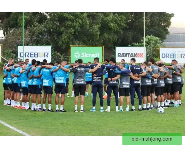 巴甲联赛全面启用VAR技术显著提升比赛判罚公正性